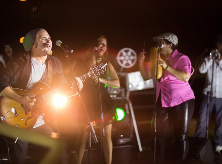 Indie folk music as a path of self-expression and therapy